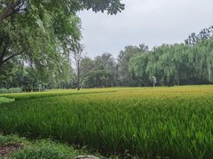 -北坞公园