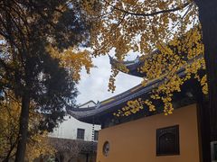 -西园戒幢律寺