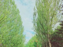 -长春公园(普阳街道)