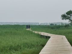 -野鸭湖国家湿地公园