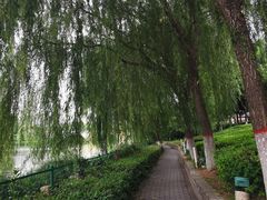 -西安汉城湖景区