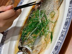 -頂好酒家·经典粤菜(海信广场店)