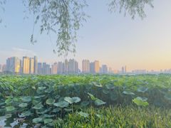 -肥肥虾庄·金牌油焖大虾(沙湖店)