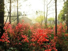 -南京市无想山景区