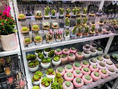 -KKV(深圳宏发大仟里店)