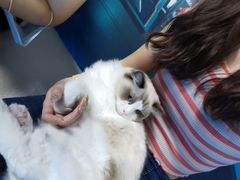 -零纪元VR体验馆·桌游(黄浦店)