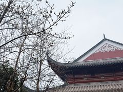 -长春观斋补堂素菜馆
