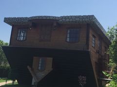 -金山农民画村-枫泾波兰倒置屋