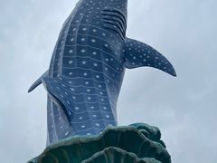 -珠海长隆海洋王国