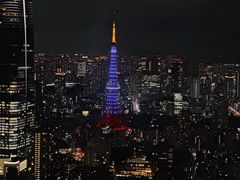 -六本木新城展望台(东京城市景观)