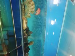 -好彩海鲜酒家(帝国中心店)
