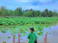 -桤木河湿地公园