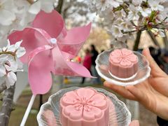 -珈境湖畔餐厅·湖北菜·江浙菜•樱花季(西北湖店)