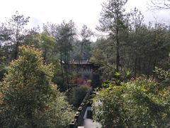 -梦姑塘文化公园