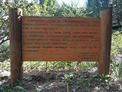 -北京鹫峰国家森林公园