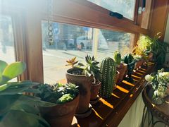 -AHAVA·Fang Baking Studio