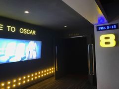 -奥斯卡升龙国际影城(RealD Cinema)