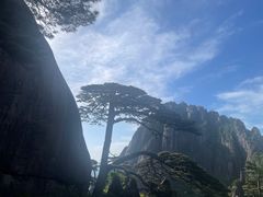 -黄山风景区