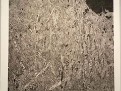 -江苏省美术馆(长江路新馆)