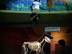 -厦门诚毅自然探索馆
