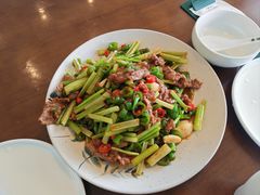 -魚當家