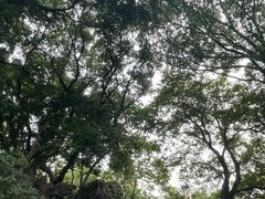 -绮园景区