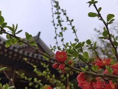 -海棠花溪(元大都城垣遗址公园)