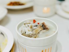 米汤深海石斑鱼-富淳饭店(世纪公园店)