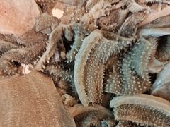 -大戚饭店(泰华路店)