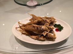 -上海会馆(香港名都店)