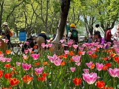 -白塘生态植物园