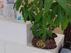 -德元·美联众合24小时动物医院(总院)