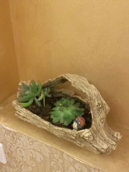 -本真坊美容美体沙龙