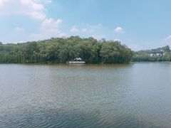 -三水森林公园