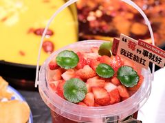 -朱光玉火锅馆(正弘城店)