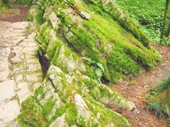 -梭布垭石林景区