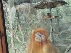 -宁波野生动物园