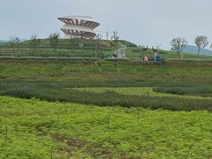 -光明小镇欢乐田园
