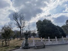 -葛仙湖公园