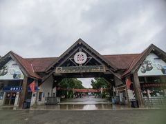 -上海海湾国家森林公园