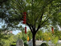 -大槐树寻根祭祖园