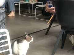 -UNI UNI(环亚凯瑟琳店)