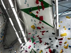 -绿壁虎攀岩基地(Tcar店)