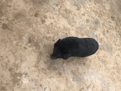 -聊城动物园