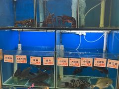 -华峰食馆(氹仔店)