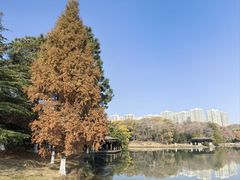 -白塘生态植物园