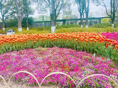 -玄武湖景区-情侣园游乐场