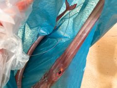 -老字号蛇口德记烧腊饭店·海鲜加工