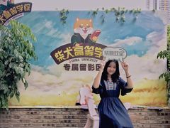 -柴犬高等学院·狗咖·柴犬售卖·宠物训练