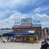 2021年夏季消暑必打卡＃【海上油画世界——长沙乐水魔方】